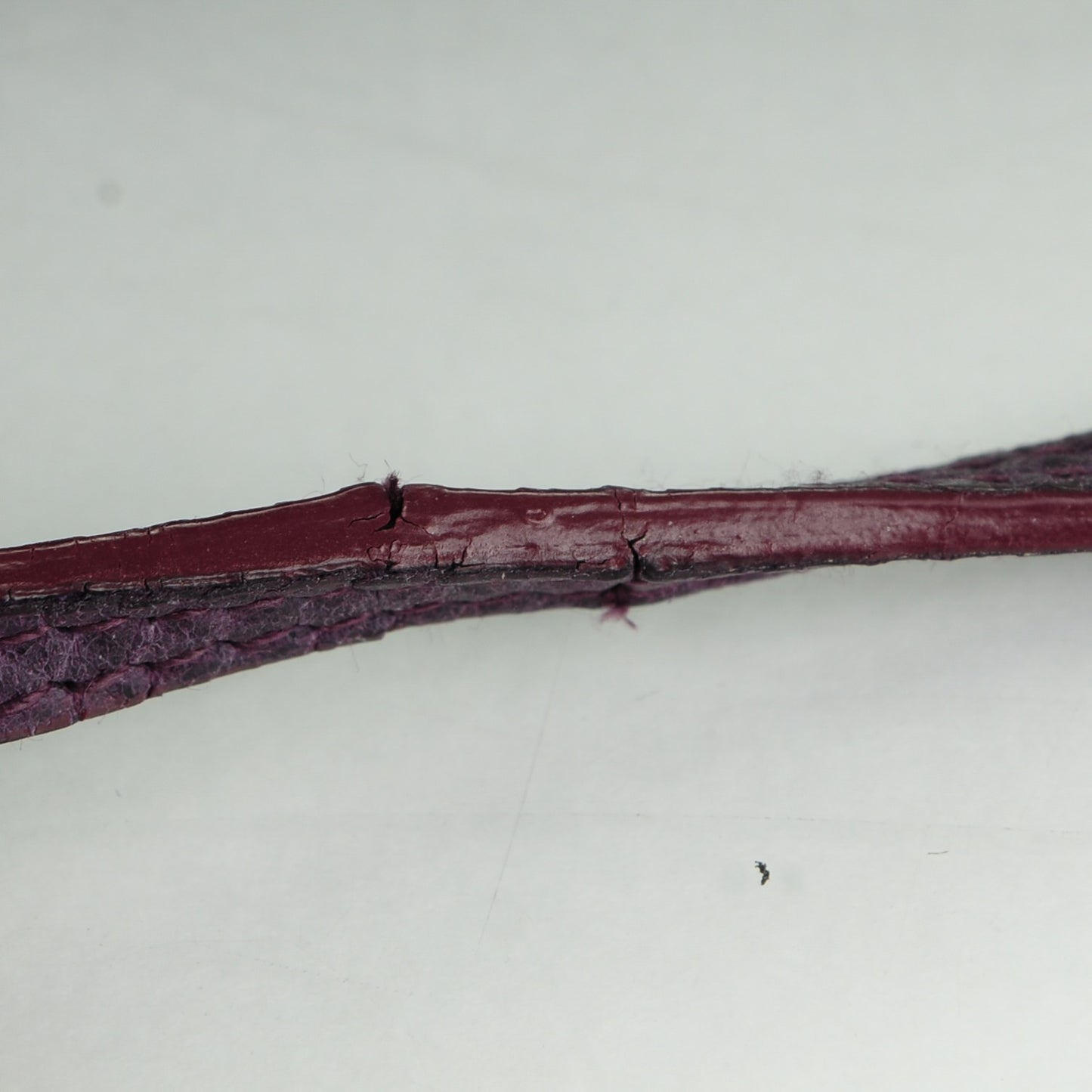 Agneau Giant 12 Silver Hardware Hip Violet