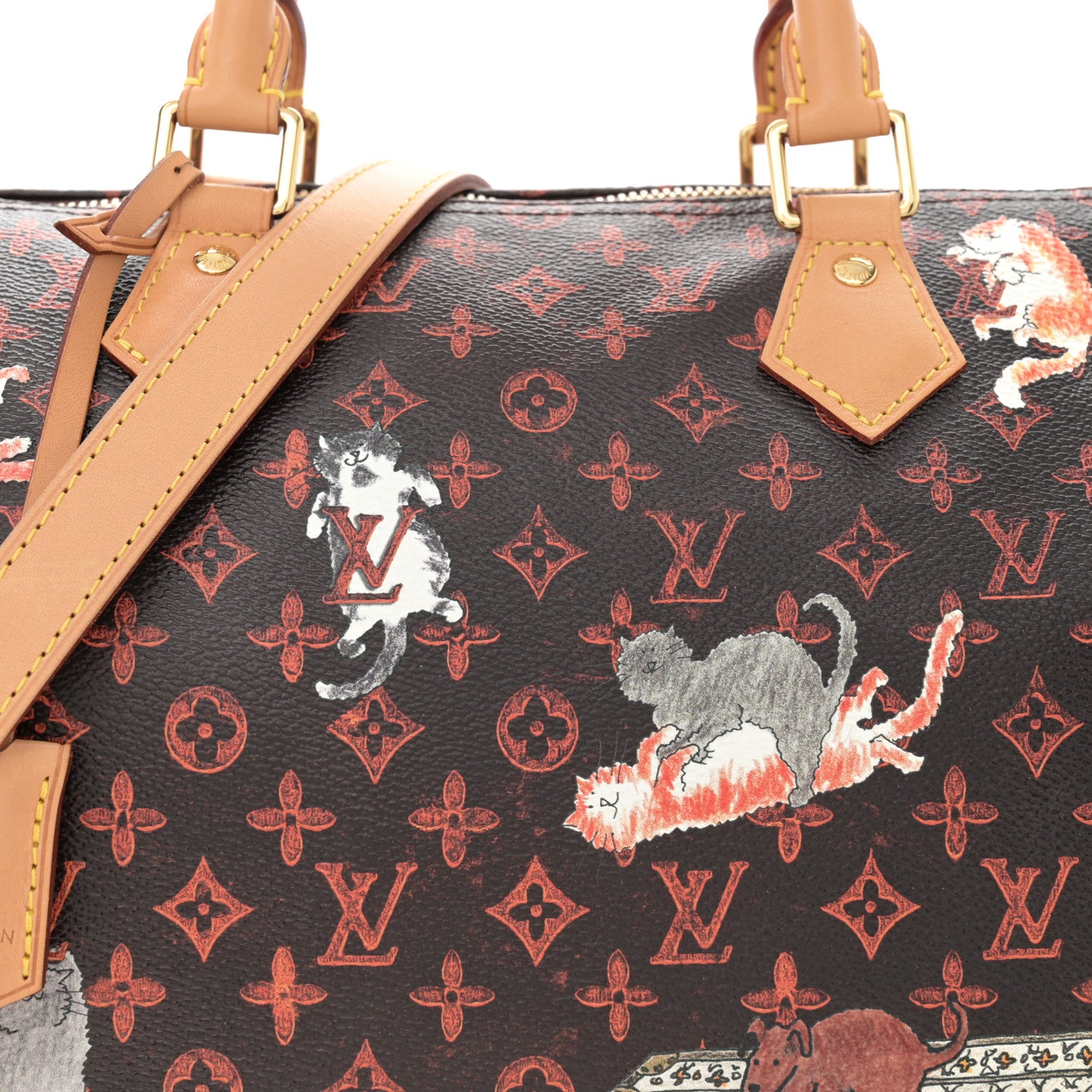 Louis Vuitton Catogram Speedy Bandouliere 30 Marron 8 of 11