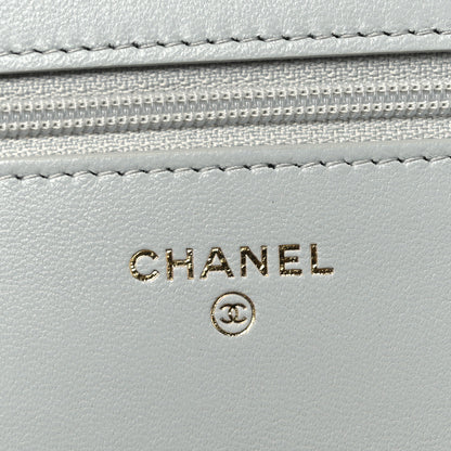 Chanel Lambskin Quilted Chanel 19 Wallet On Chain WOC Light Blue 6 of 13