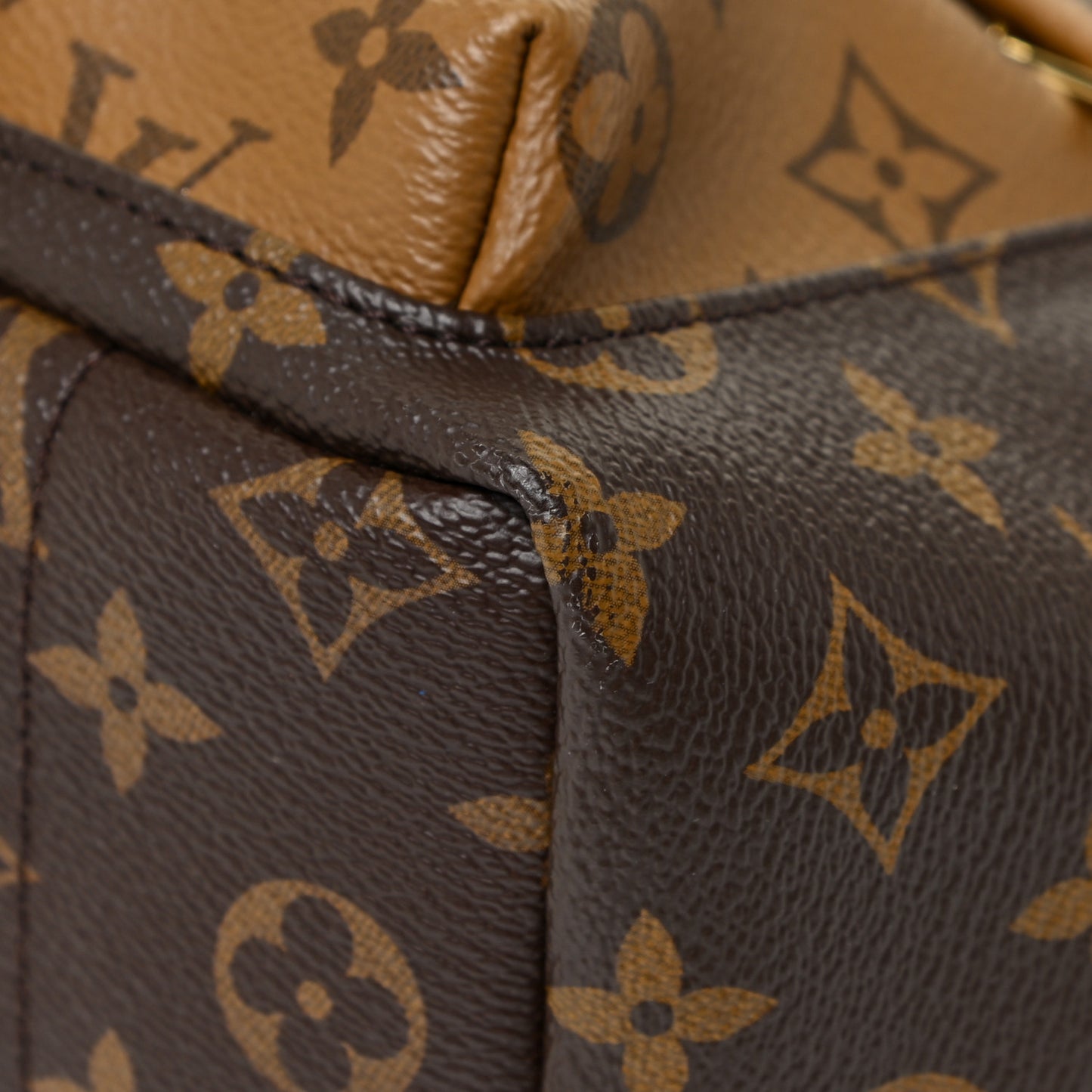 Reverse Monogram Palm Springs Backpack PM