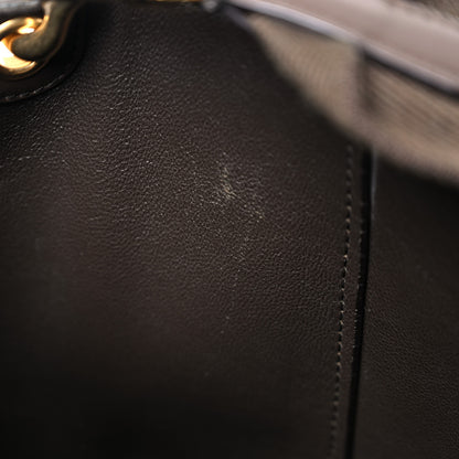 Celine Supersoft Calfskin Sangle Bucket Bag Wood 11 of 24