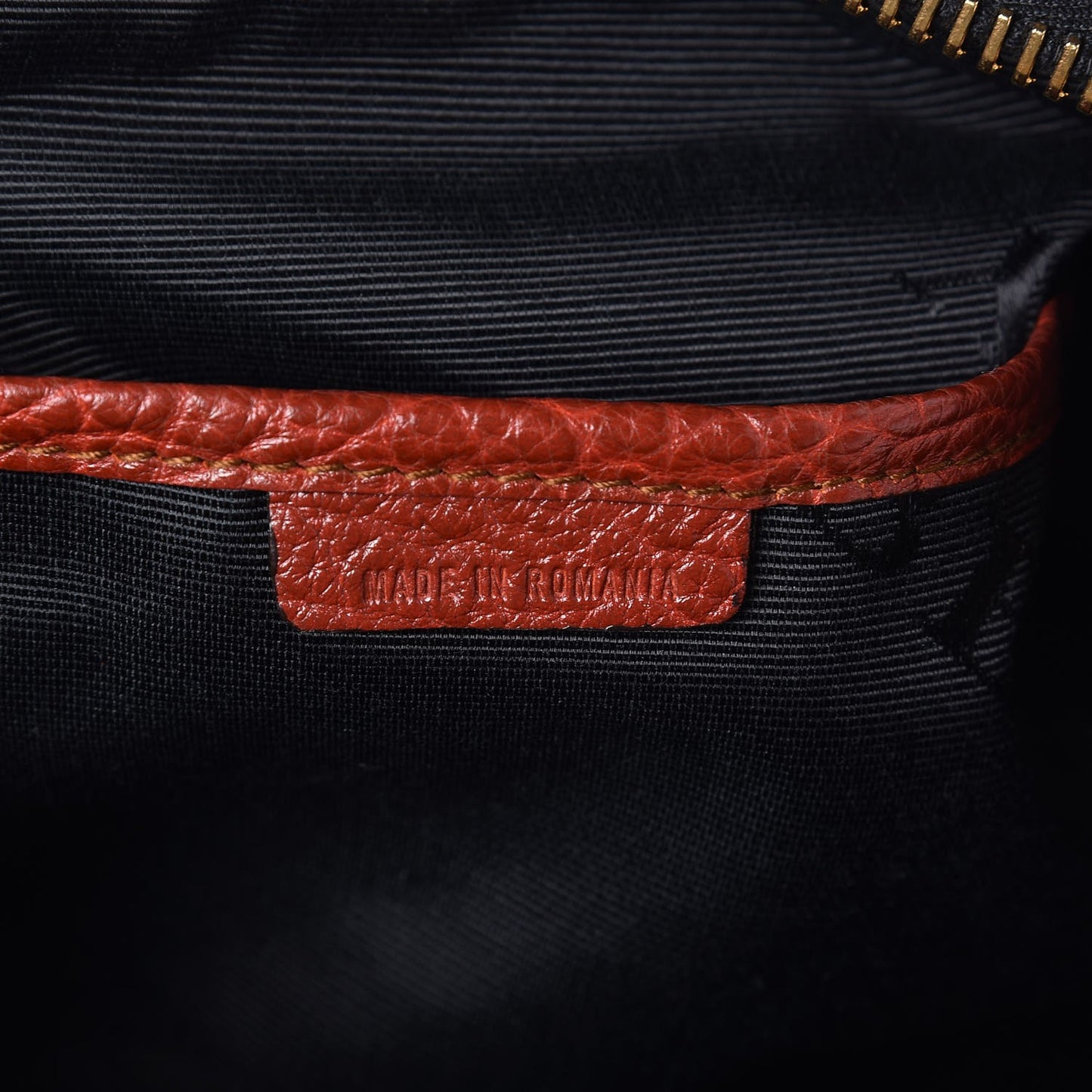 Heritage Grain Medium Ledbury Hobo Bright Tortoiseshell