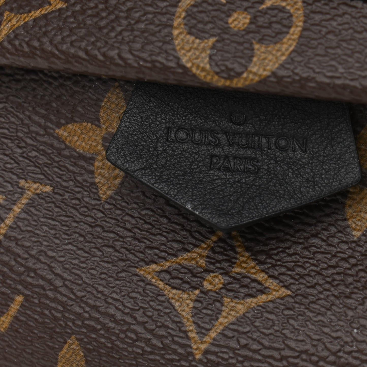 Reverse Monogram Palm Springs Backpack Mini