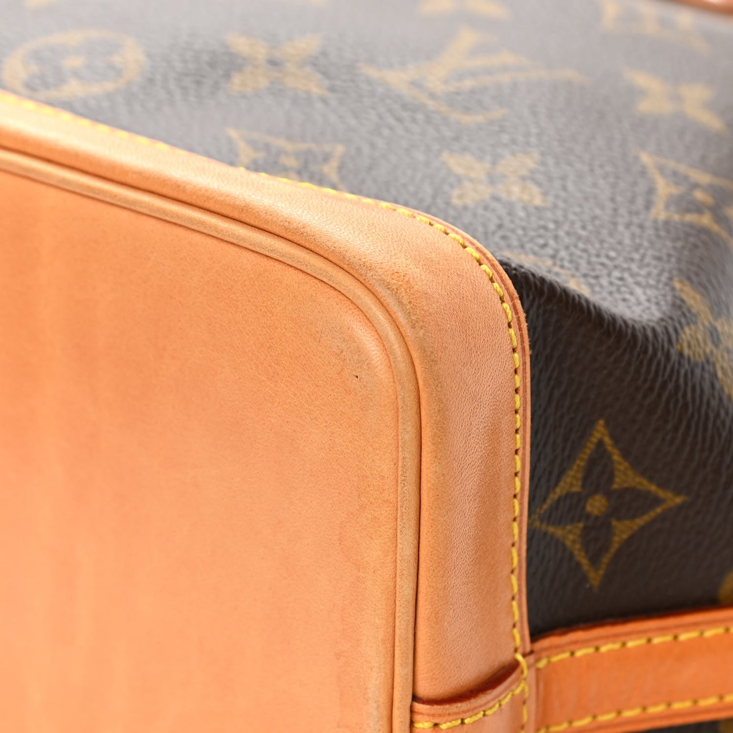 Monogram Mini Noe