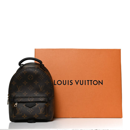 Louis Vuitton Monogram Palm Springs Backpack Mini 12 of 13