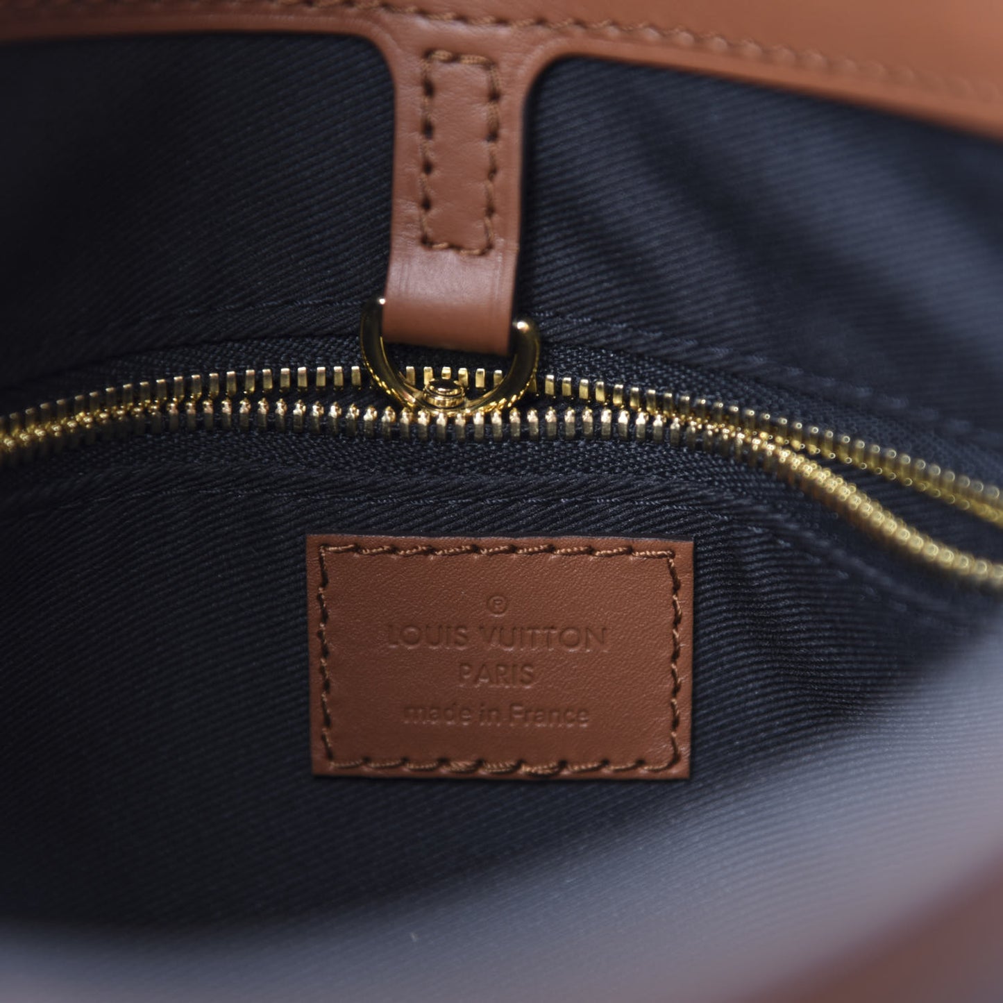 Reverse Monogram Dauphine Hobo PM