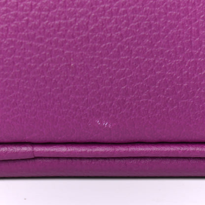 Hermes Evercolor Mini 1923 Bolide Anemone 7 of 10