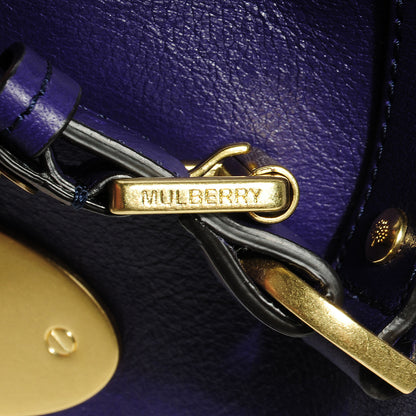 Mulberry Soft Buffalo Leather Medium Alexa Grape 13 of 13