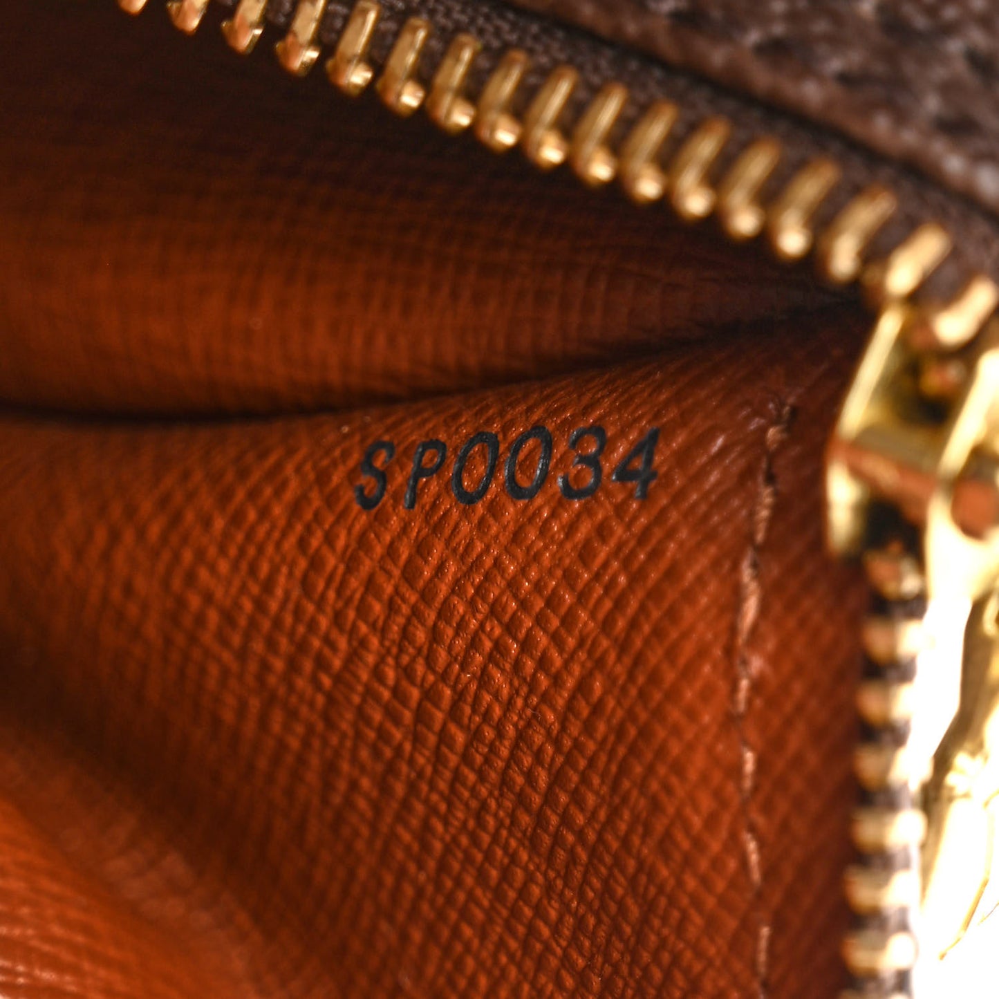 Monogram Papillon 30 with Companion