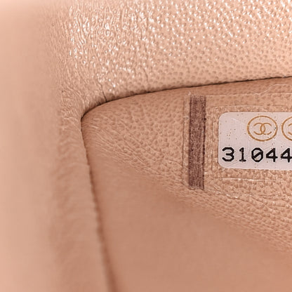 Chanel Iridescent Calfskin Quilted Medium Double Flap Beige 9 of 11