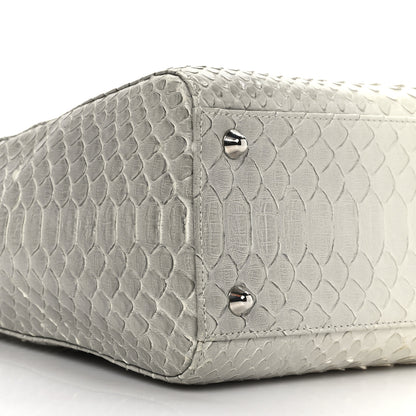 Christian Dior Snakeskin Large Lady Dior Beige Ombre 8 of 11