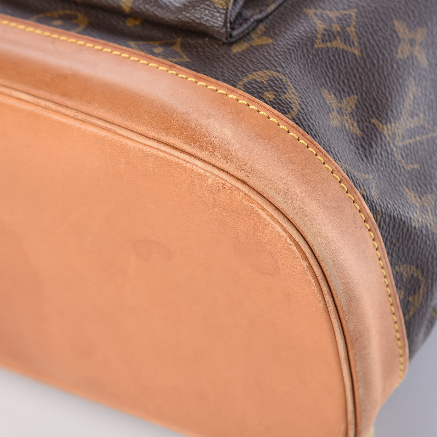 Monogram Montsouris GM Backpack