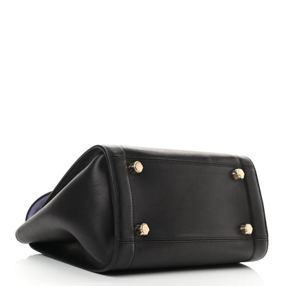 Salvatore Ferragamo Calfskin Sofia Rainbow Top Handle Bag Black 4 of 12