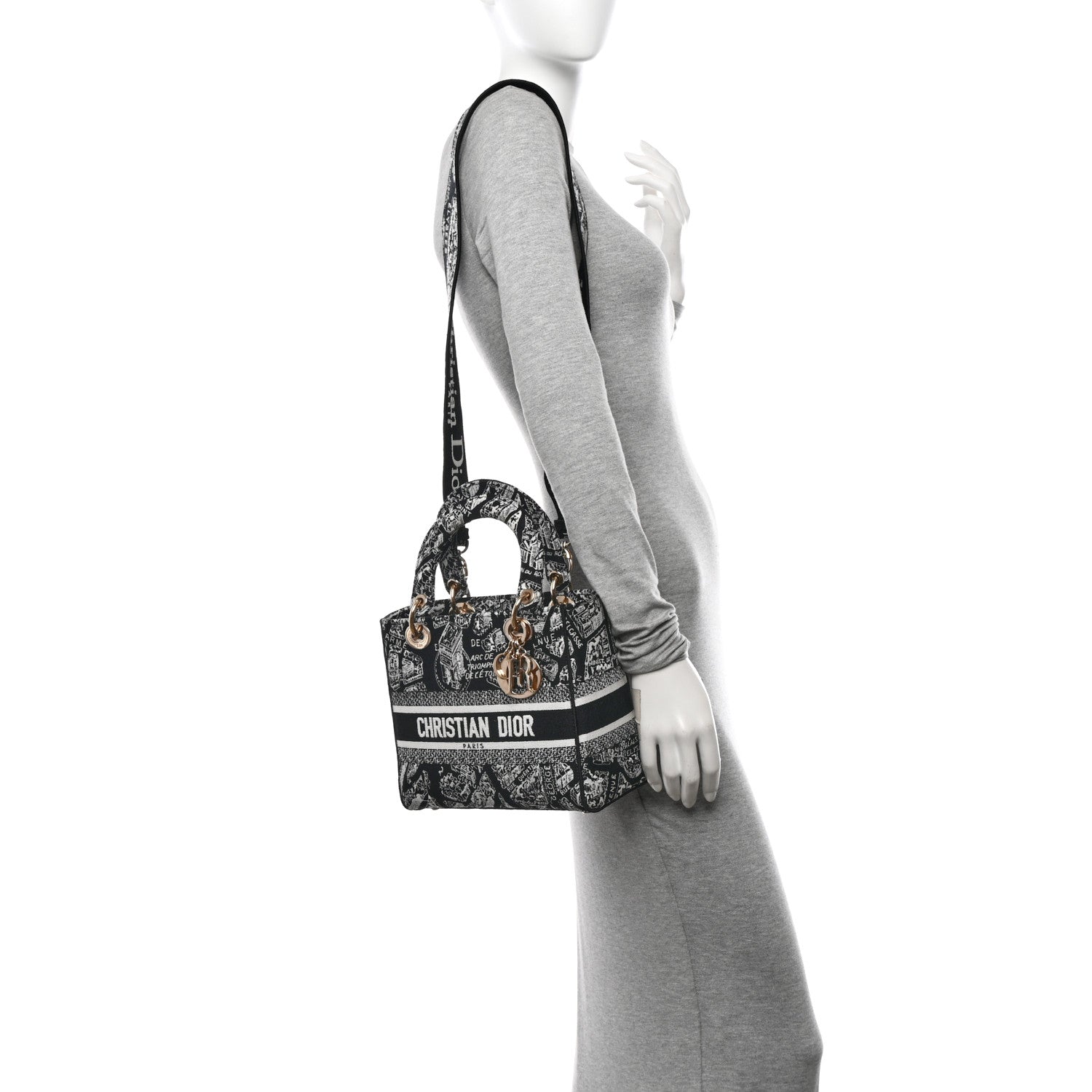 Christian Dior Canvas Embroidered Medium Plan de Paris Lady D-Lite Black White 2 of 9