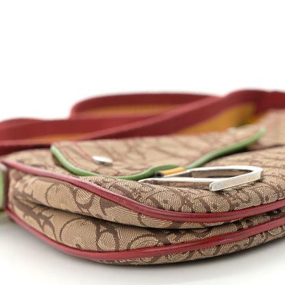 Christian Dior Monogram Rasta Double Saddle Beige 9 of 13