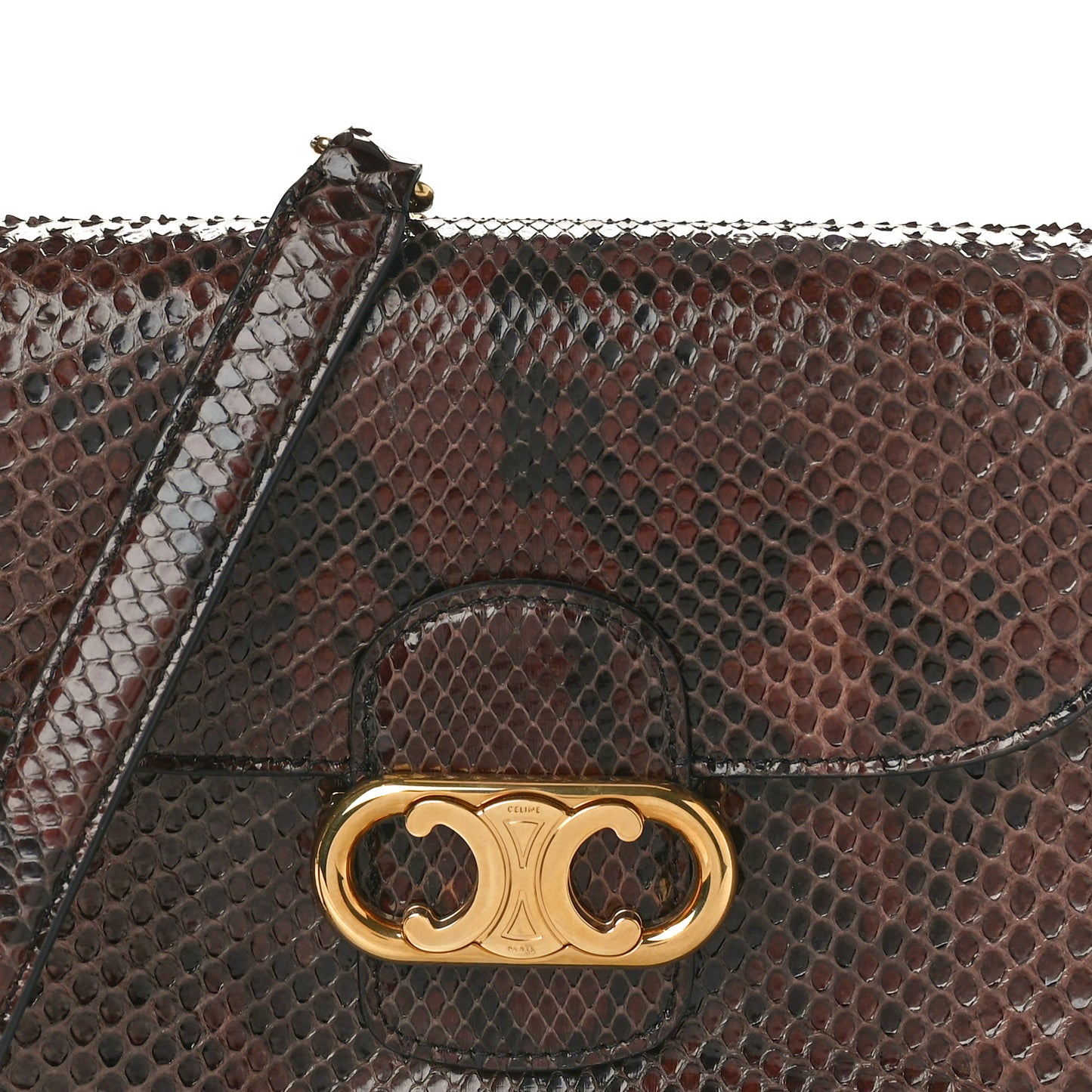 Snakeskin Medium Chain Maillon Triomphe Brown