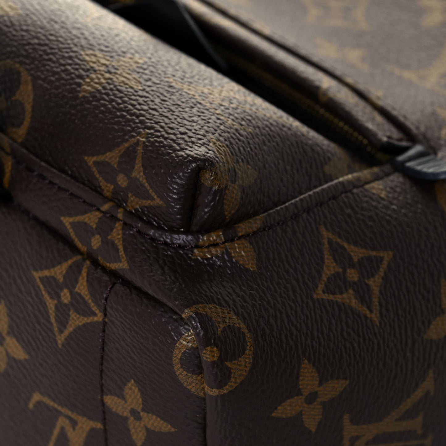 Monogram Palm Springs Backpack Mini