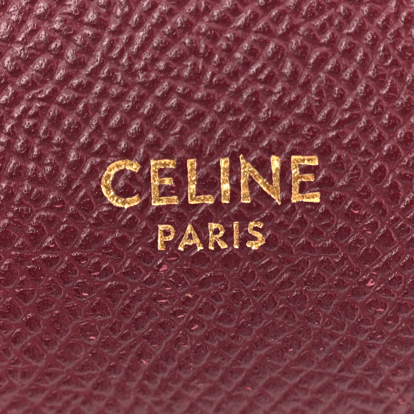 Grained Calfskin Pico Belt Bag Acai