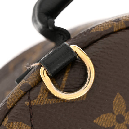 Louis Vuitton Monogram Palm Springs Backpack Mini 12 of 12