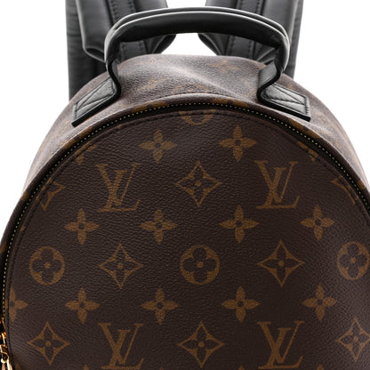 Louis Vuitton Reverse Monogram Palm Springs Backpack PM 8 of 10