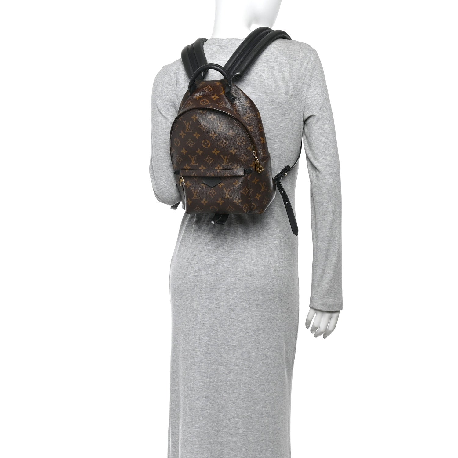 Louis Vuitton Monogram Palm Springs Backpack PM 2 of 11