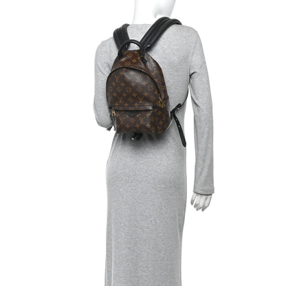 Louis Vuitton Monogram Palm Springs Backpack PM 2 of 11