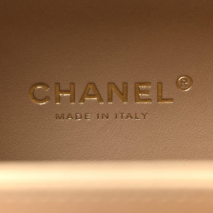 Chanel Lambskin Quilted Golden Plate Vanity Case White Gold 6 of 10