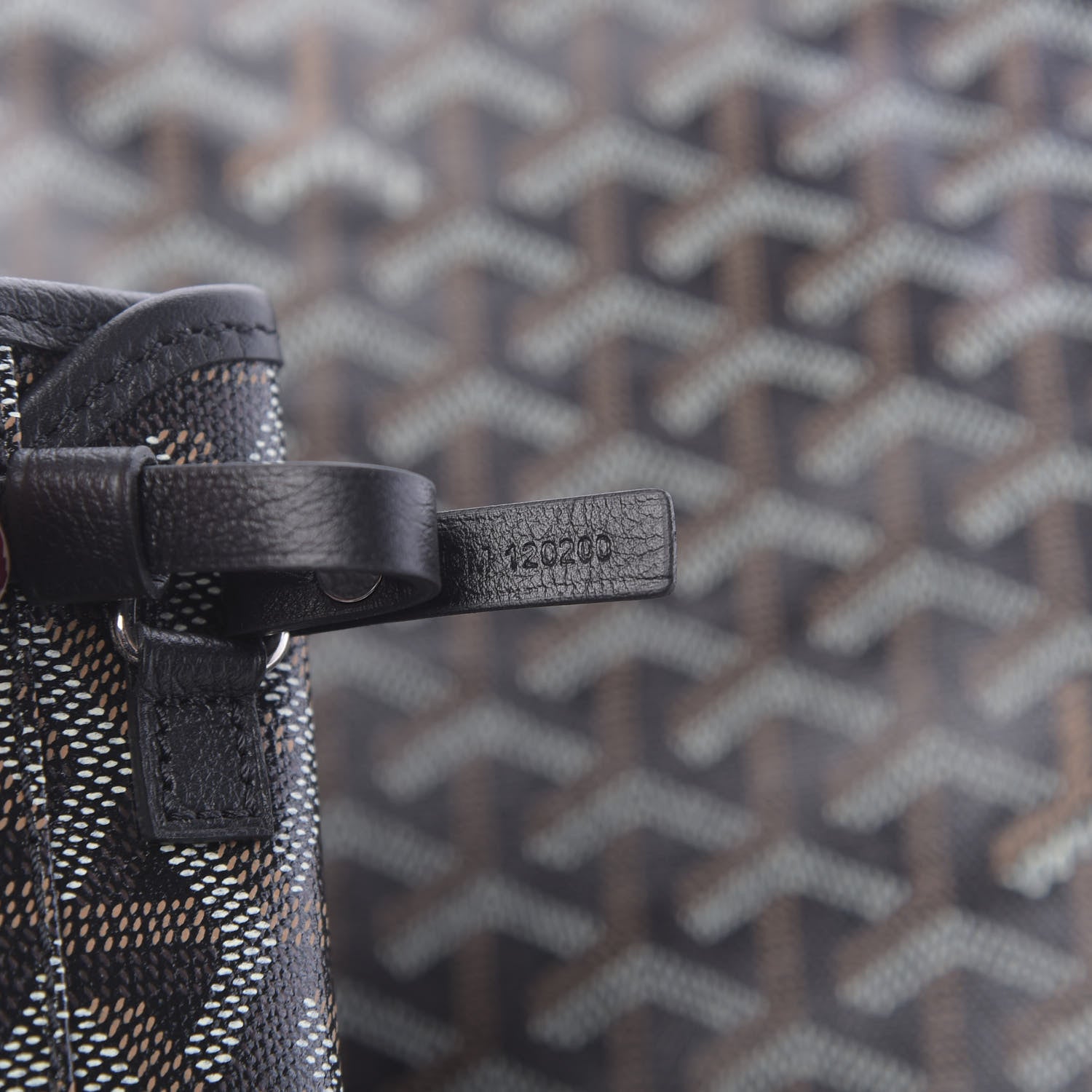 Goyard Goyardine Saint Louis PM Black 8 of 11