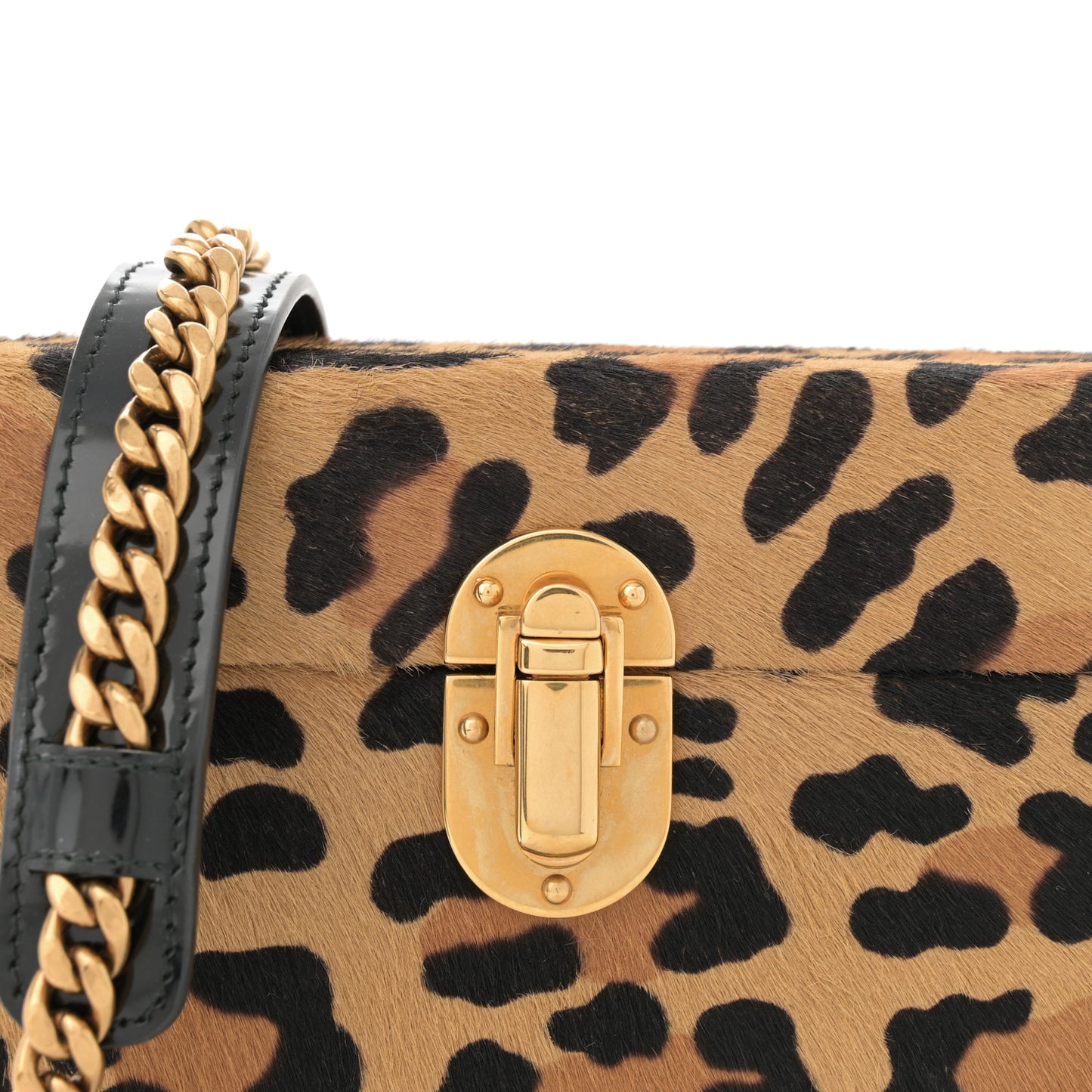 Calfskin Calf Hair Leopard Print Studded Chain Crossbody Bag Black