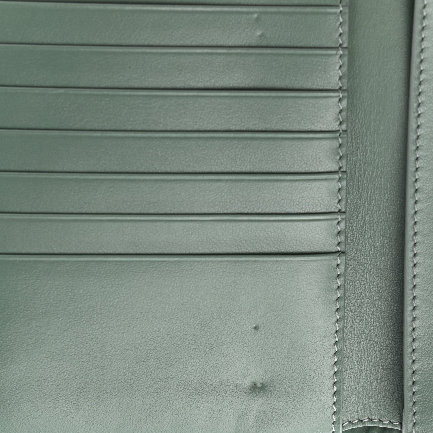 Celine Grained Calfskin Medium Multifunction Strap Wallet Green 10 of 10