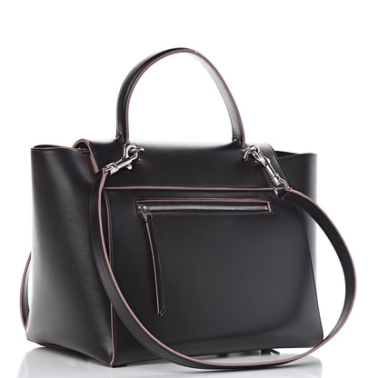Celine Palmelato Calfskin Mini Belt Bag Espresso 3 of 10