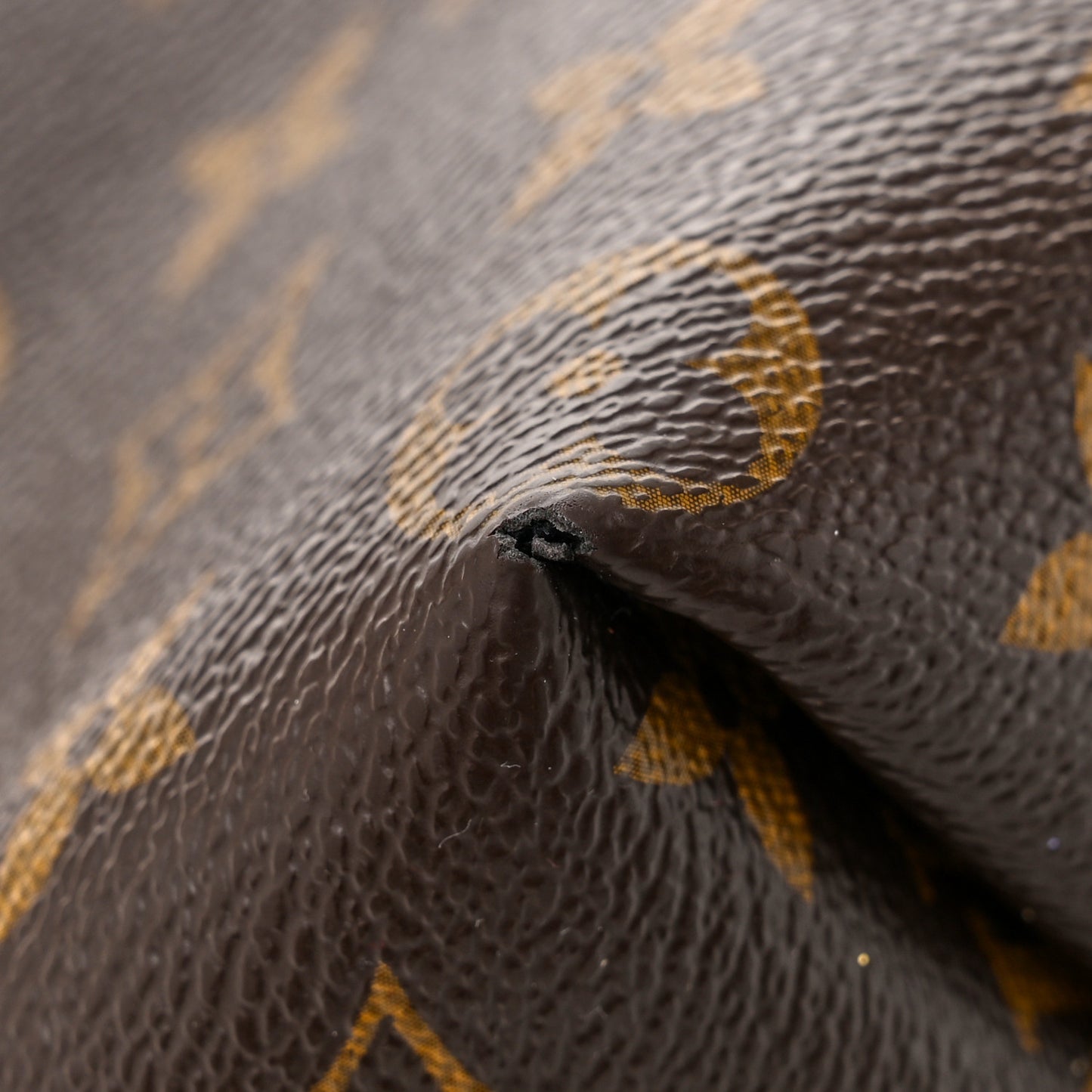 Monogram Sully MM