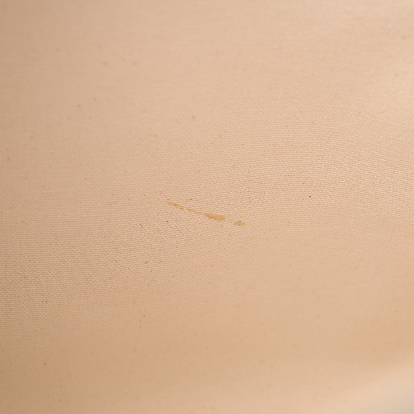 Canvas Calfskin Logo Print Horizontal Cabas Natural Tan