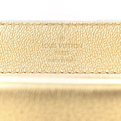 Louis Vuitton Cuir Plume Ecume Very Chain Bag Gold 7 of 11