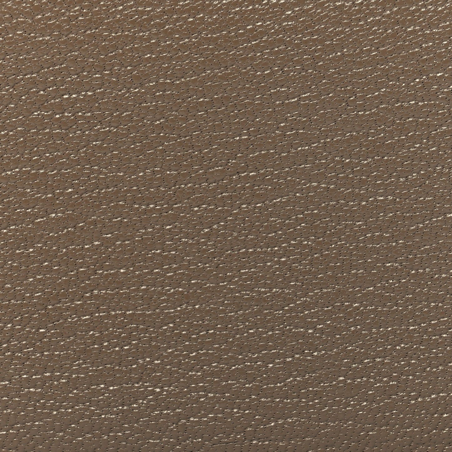Chevre Mysore Calvi Duo Card Case Etoupe