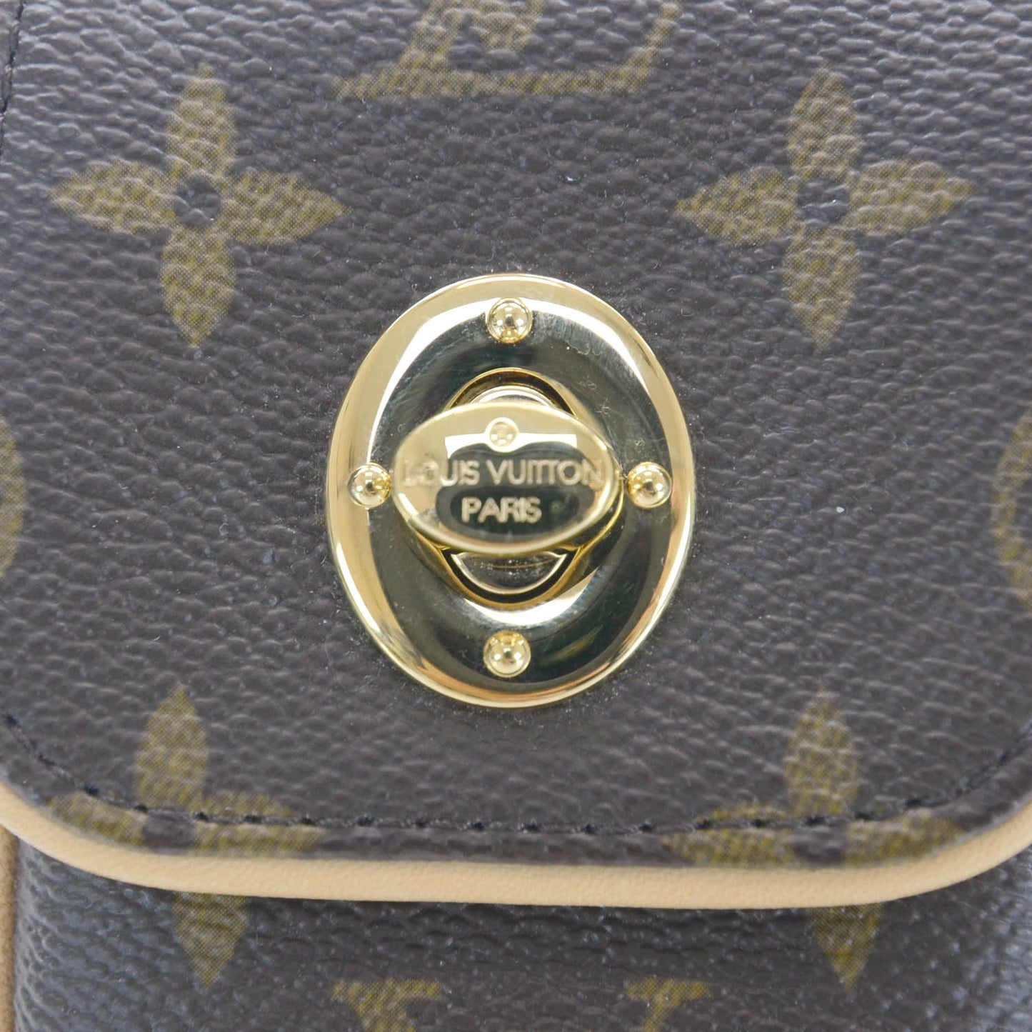 Monogram Tulum Pochette