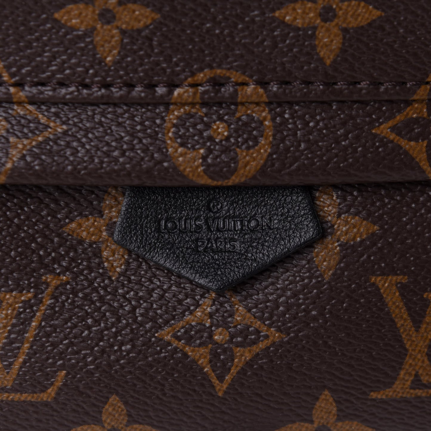Monogram Palm Springs Backpack Mini