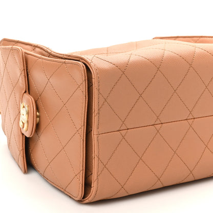 Chanel Caviar Quilted Small Chanel 25 Handbag Brown 9 of 11