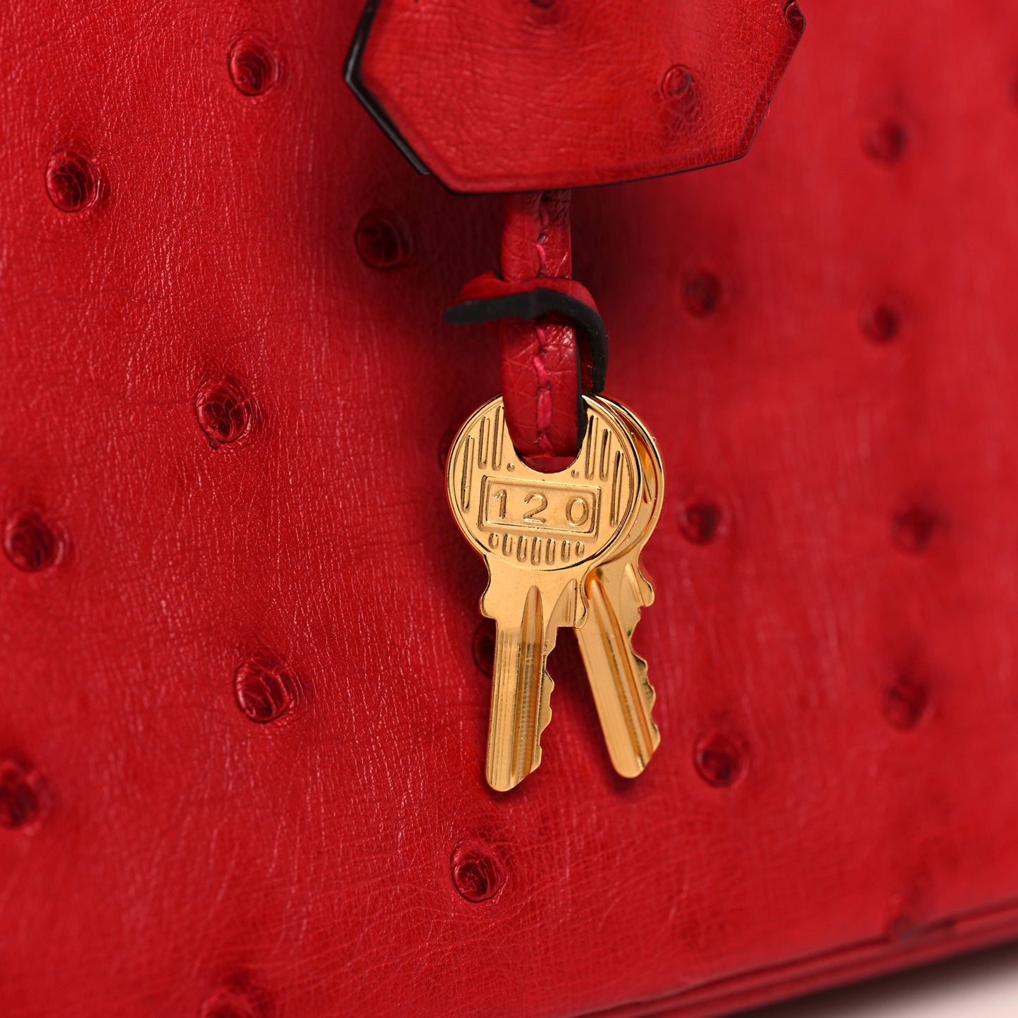 Ostrich Horseshoe Birkin 30 Rouge Vif Bleu Glacier
