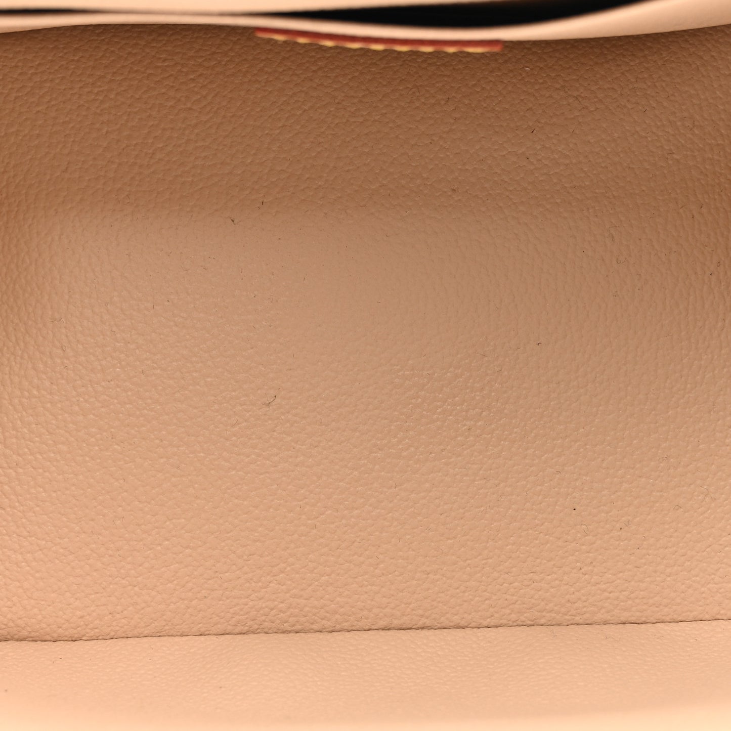 Monogram Nice Mini