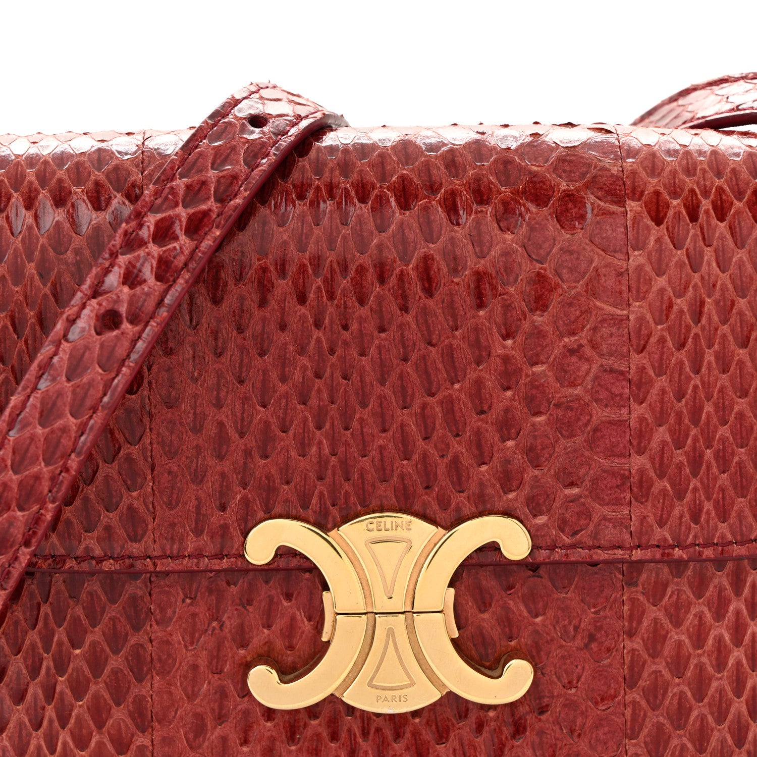 Celine Watersnake Teen Triomphe Ruby 8 of 11
