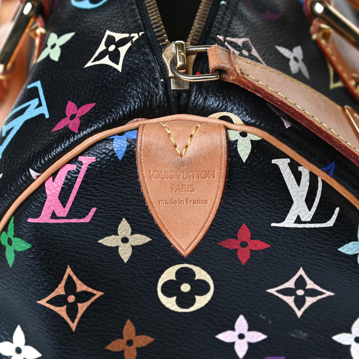 Monogram Multicolor Speedy 30 Black