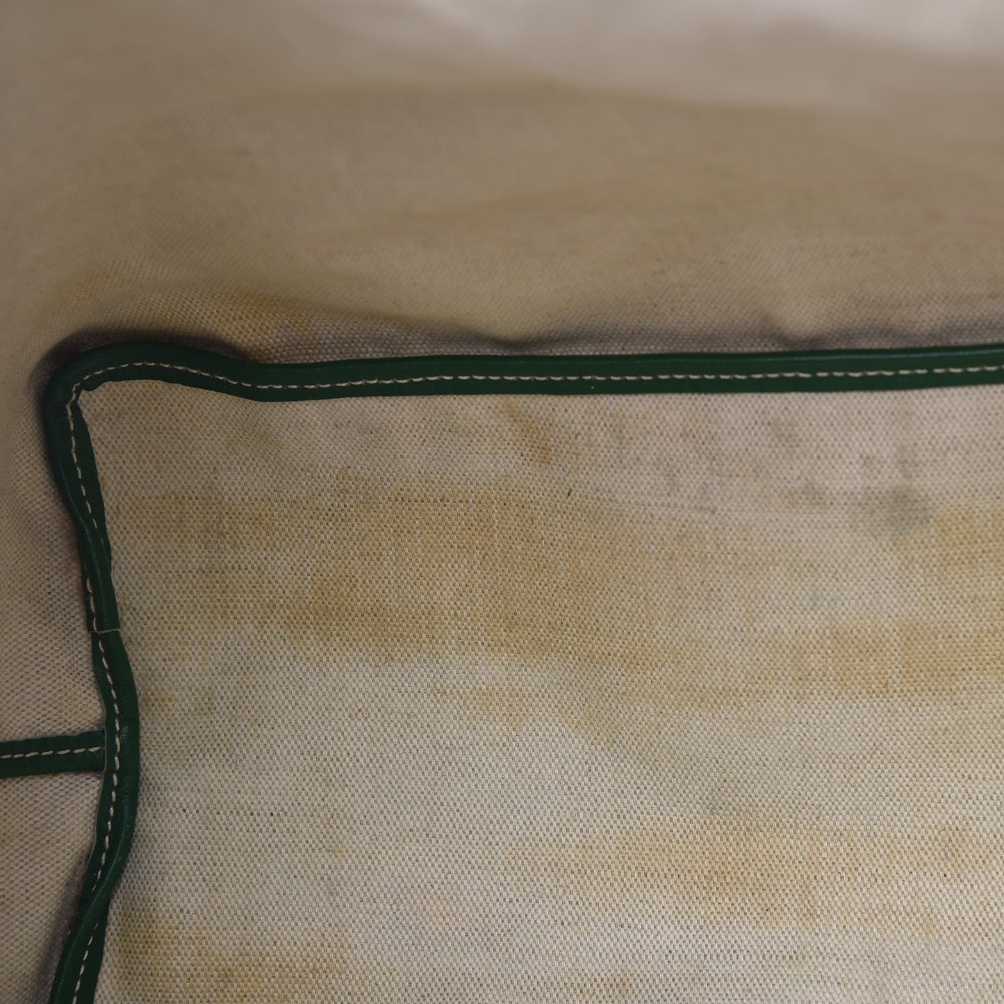 Goyardine Saint Louis PM Green