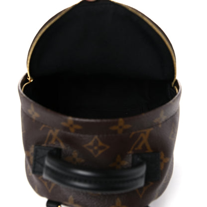 Louis Vuitton Monogram Palm Springs Backpack Mini 5 of 13