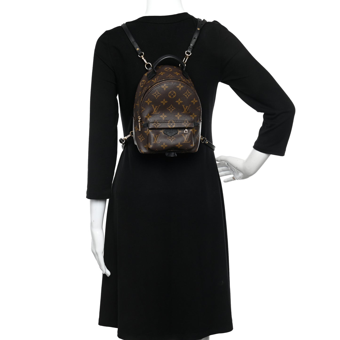 Monogram Palm Springs Backpack Mini