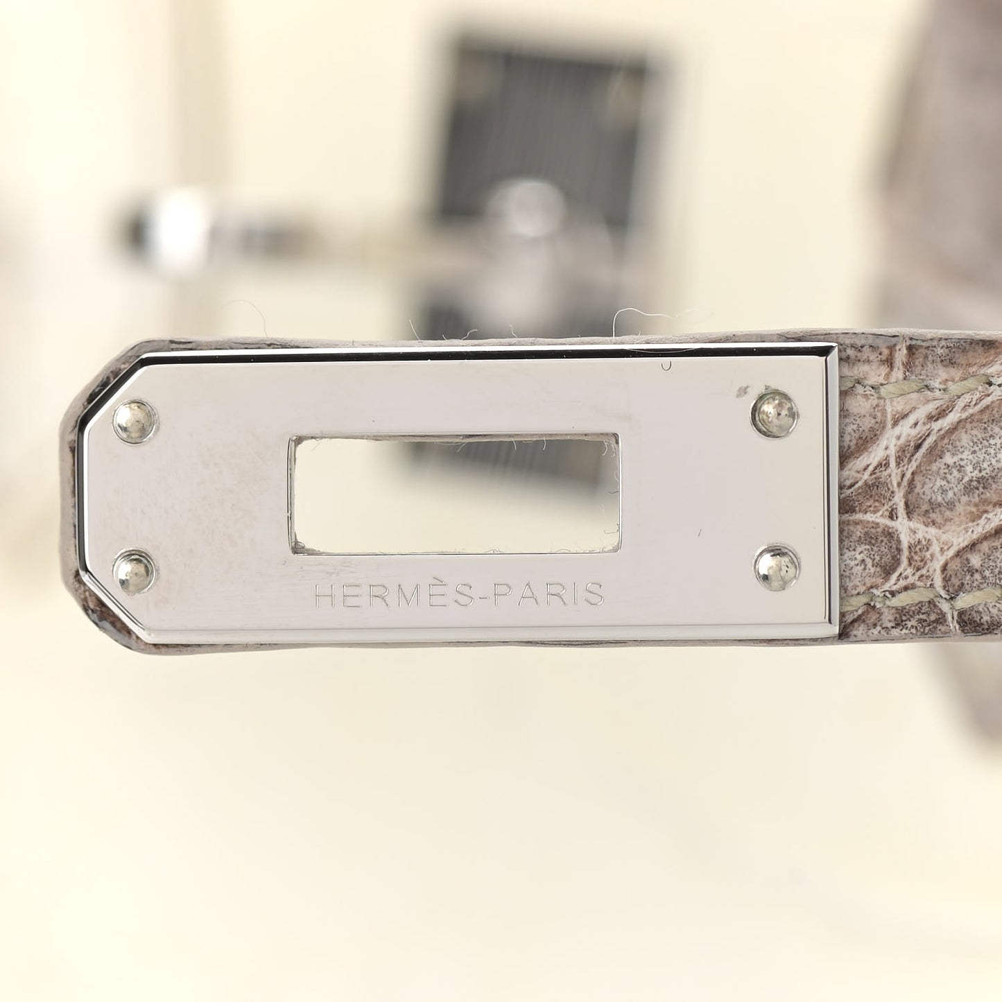 Matte Niloticus Crocodile Himalaya Birkin 25 Blanc