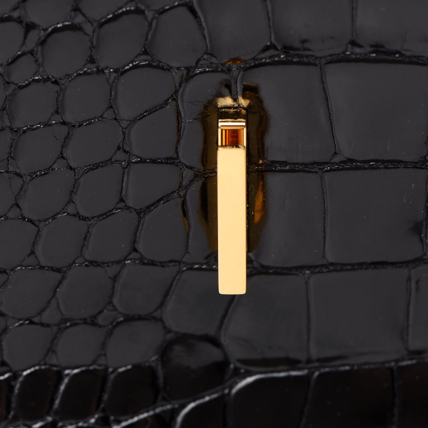 Shiny Porosus Crocodile Birkin 35 Black