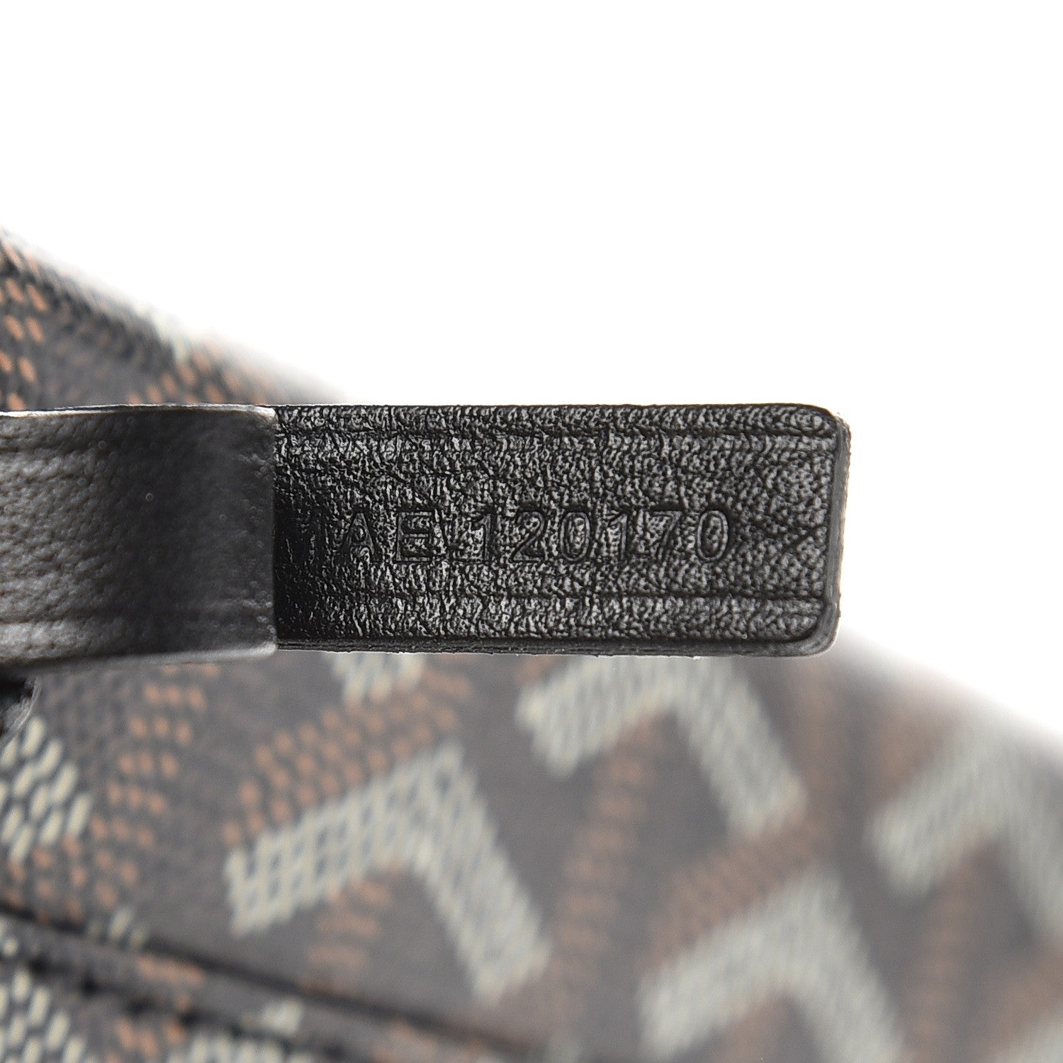 Goyard Goyardine Saint Louis PM Black 9 of 9