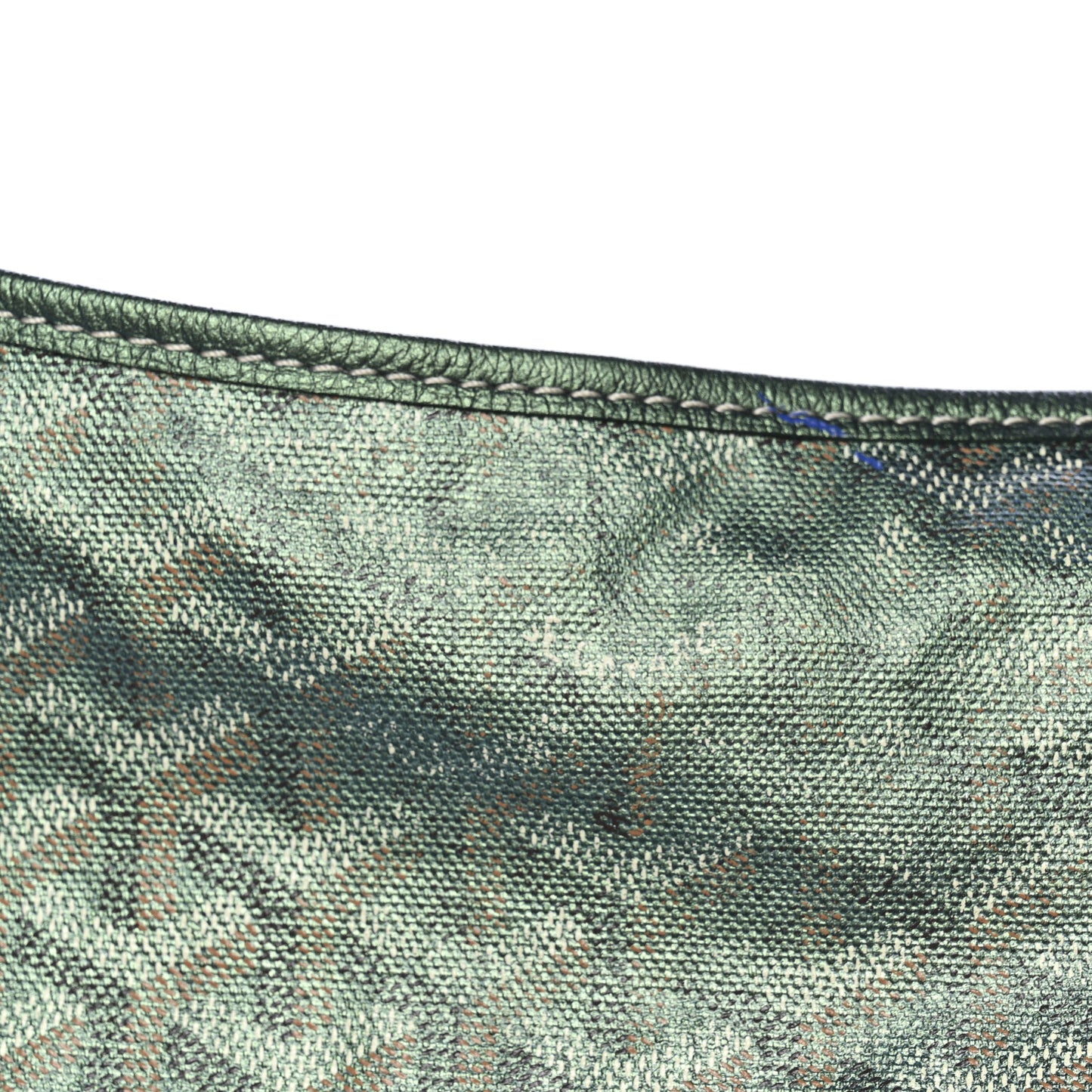 Iridescent Goyardine Boheme Hobo Pearly Green