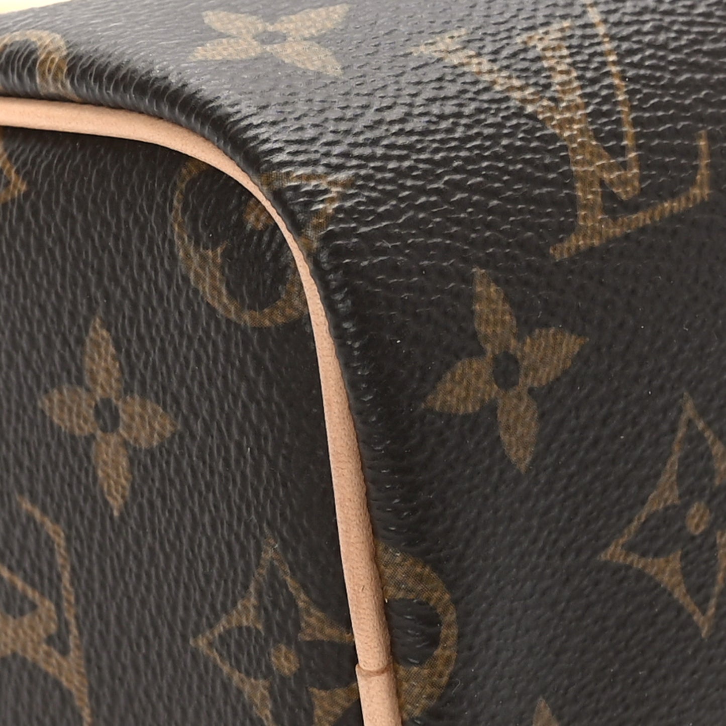 Monogram Nano Speedy